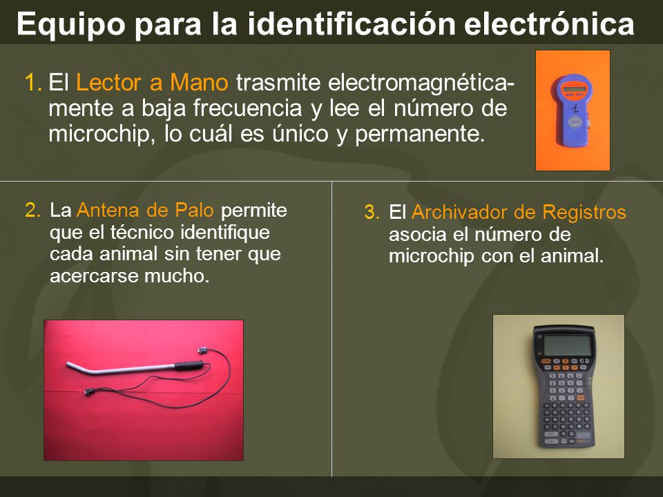 Equipo para la identificación electrónica