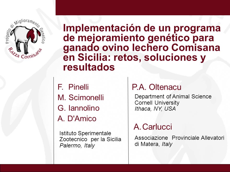 Implementación de un programa de mejoramiento genético para ganado ovino lechero Comisana en Sicilia: retos, soluciones y resultados