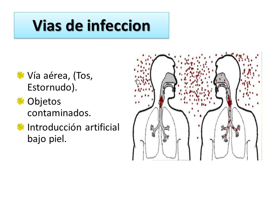 Vias de infeccion Vía aérea, (Tos, Estornudo). Objetos contaminados.