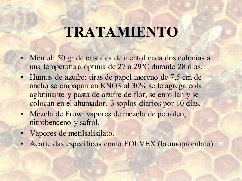 TRATAMIENTO Mentol: 50 gr de cristales de mentol cada dos colonias a una temperatura óptima de 27 a 29ºC durante 28 días.