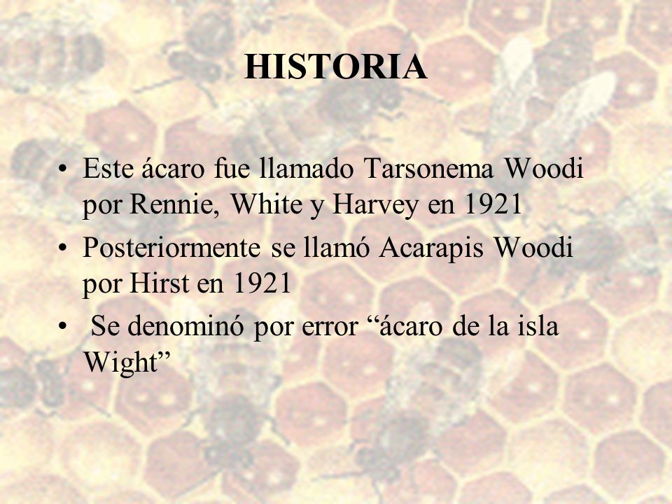 HISTORIA Este ácaro fue llamado Tarsonema Woodi por Rennie, White y Harvey en Posteriormente se llamó Acarapis Woodi por Hirst en