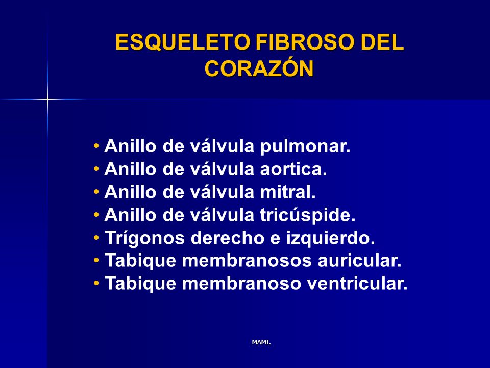 ESQUELETO FIBROSO DEL CORAZÓN