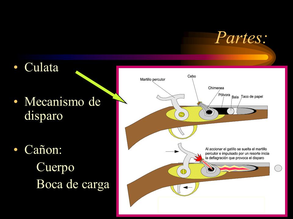 Partes: Culata Mecanismo de disparo Cañon: Cuerpo Boca de carga