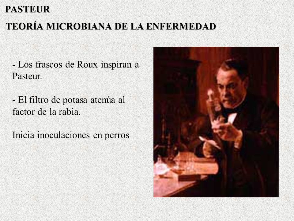 PASTEUR TEORÍA MICROBIANA DE LA ENFERMEDAD. - Los frascos de Roux inspiran a Pasteur. - El filtro de potasa atenúa al factor de la rabia.