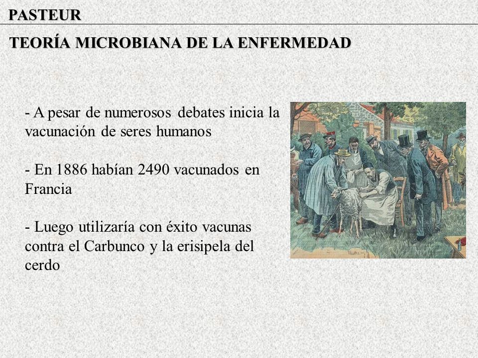 PASTEUR TEORÍA MICROBIANA DE LA ENFERMEDAD. - A pesar de numerosos debates inicia la vacunación de seres humanos.