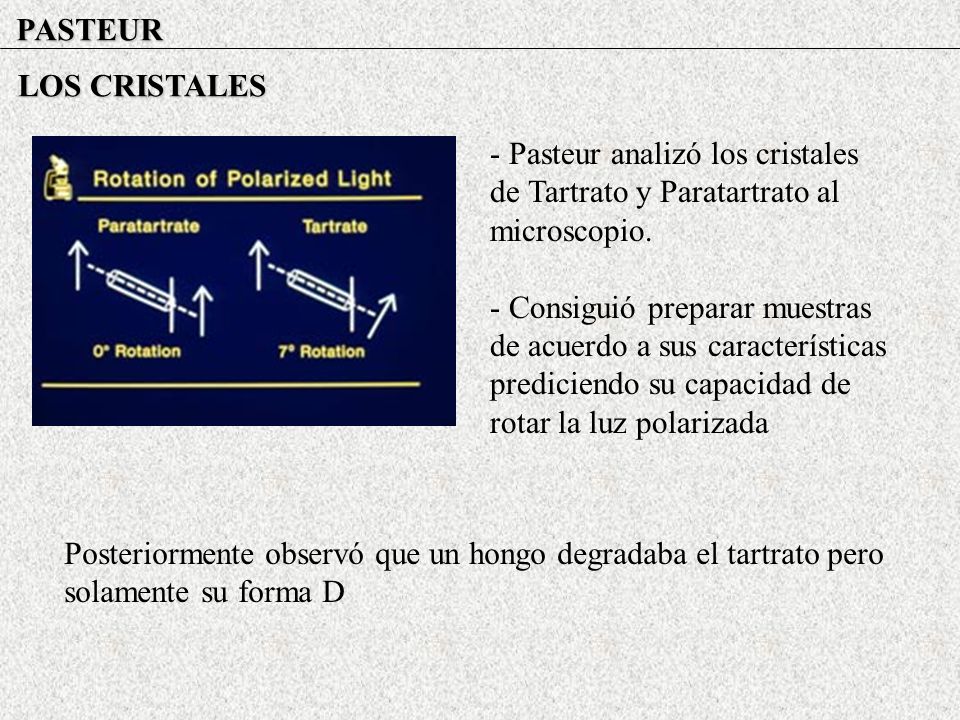 PASTEUR LOS CRISTALES. - Pasteur analizó los cristales de Tartrato y Paratartrato al microscopio.