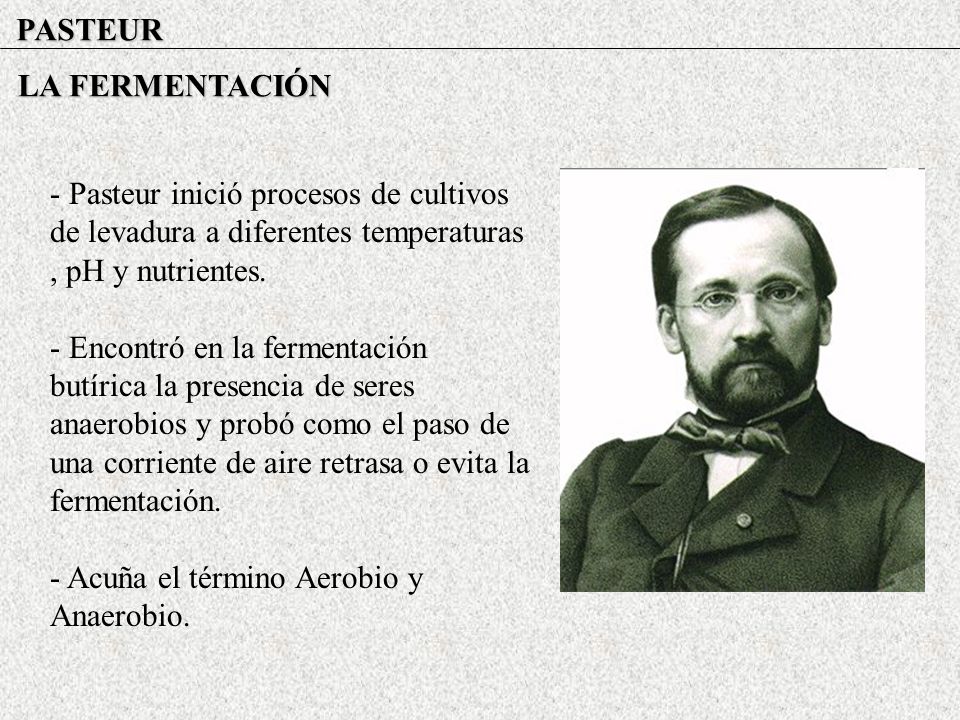 PASTEUR LA FERMENTACIÓN. - Pasteur inició procesos de cultivos de levadura a diferentes temperaturas , pH y nutrientes.