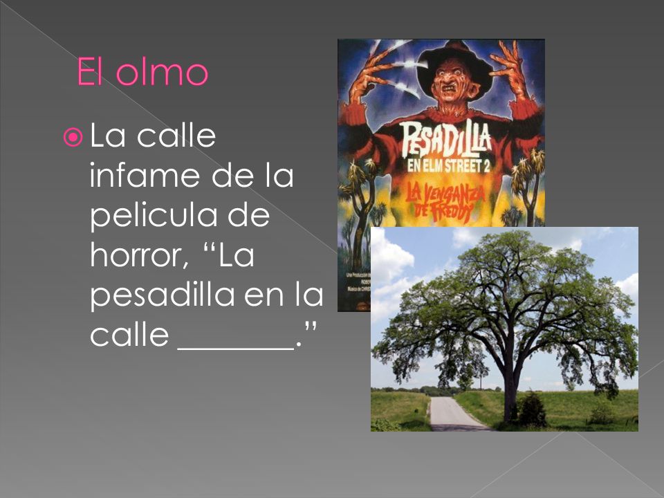 El olmo La calle infame de la pelicula de horror, La pesadilla en la calle _______.