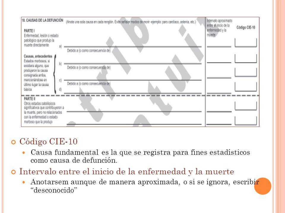 Intervalo entre el inicio de la enfermedad y la muerte