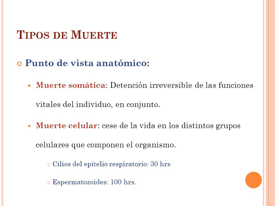 Tipos de Muerte Punto de vista anatómico: