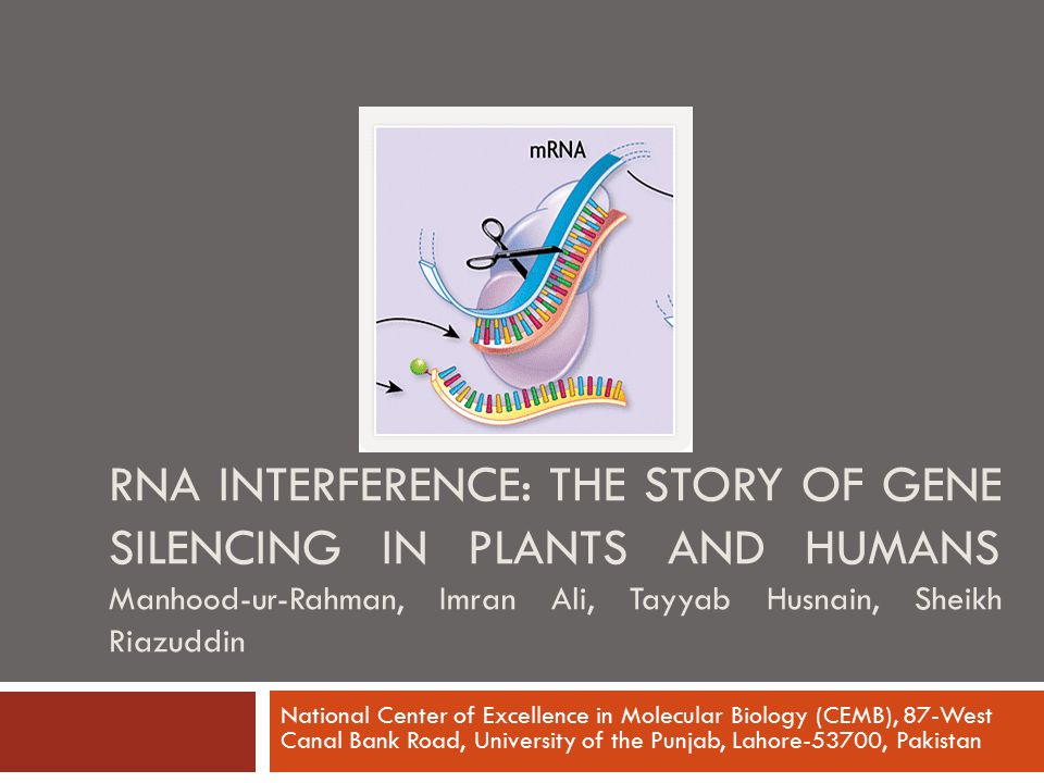 RNA INTERFERENCE: The story of gene silencing in plants and humans Manhood-ur-Rahman, Imran Ali, Tayyab Husnain, Sheikh Riazuddin