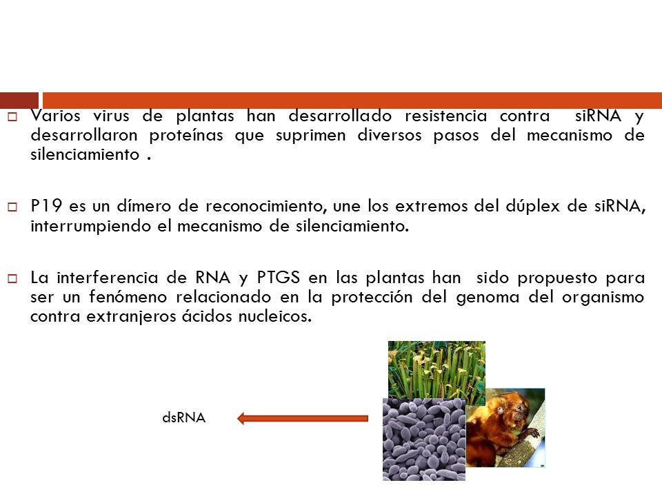 Varios virus de plantas han desarrollado resistencia contra siRNA y desarrollaron proteínas que suprimen diversos pasos del mecanismo de silenciamiento .