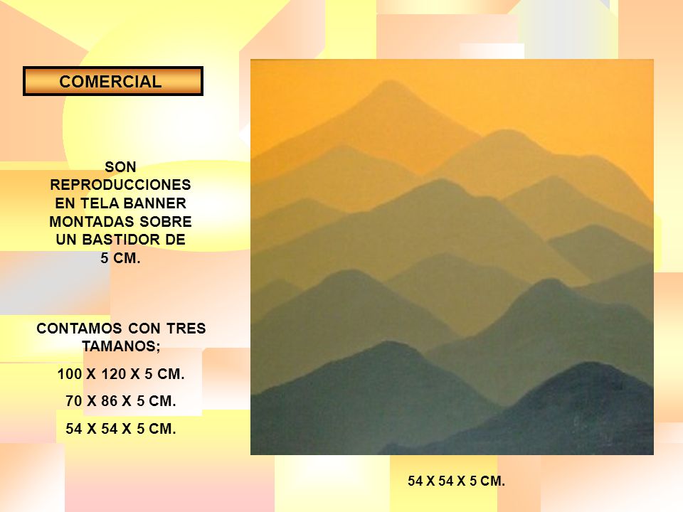 COMERCIAL SON REPRODUCCIONES EN TELA BANNER MONTADAS SOBRE UN BASTIDOR DE 5 CM. CONTAMOS CON TRES TAMANOS;