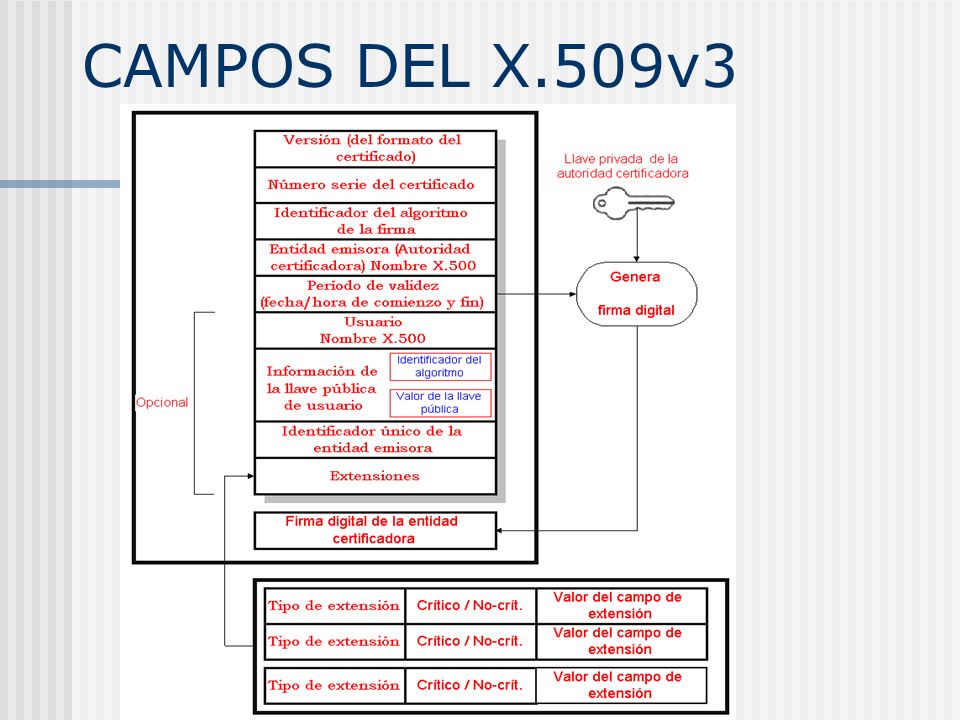 CAMPOS DEL X.509v3 Una descripción de los campos viene en las fotocopias