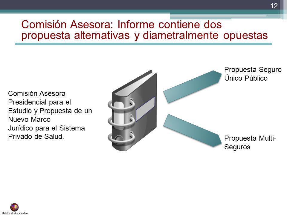 Comisión Asesora: Informe contiene dos propuesta alternativas y diametralmente opuestas