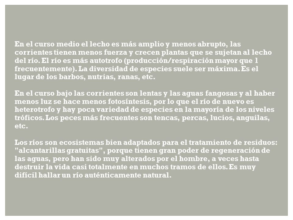 En el curso medio el lecho es más amplio y menos abrupto, las corrientes tienen menos fuerza y crecen plantas que se sujetan al lecho del río. El río es más autotrofo (producción/respiración mayor que 1 frecuentemente). La diversidad de especies suele ser máxima. Es el lugar de los barbos, nutrias, ranas, etc.