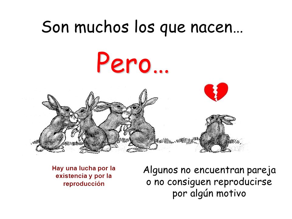 Hay una lucha por la existencia y por la reproducción
