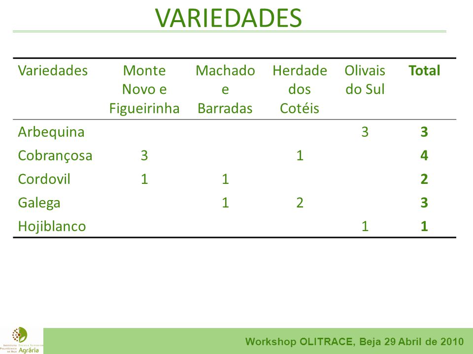 Workshop OLITRACE, Beja 29 Abril de 2010