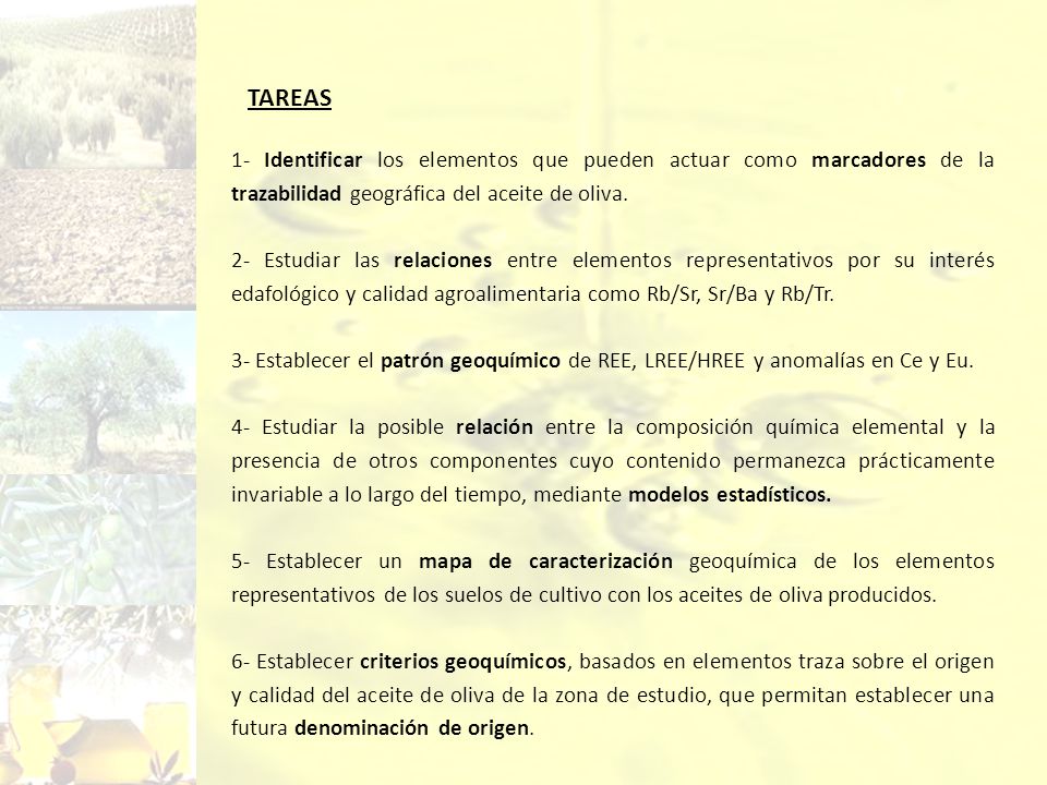 TAREAS 1- Identificar los elementos que pueden actuar como marcadores de la trazabilidad geográfica del aceite de oliva.