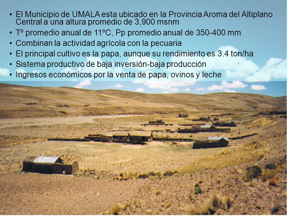 El Municipio de UMALA esta ubicado en la Provincia Aroma del Altiplano Central a una altura promedio de 3,900 msnm