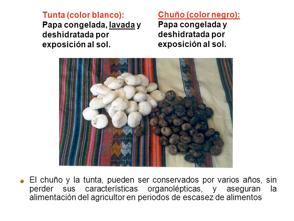 Tunta (color blanco): Papa congelada, lavada y deshidratada por exposición al sol.