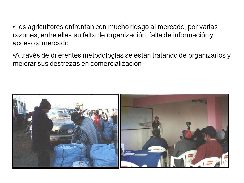 Los agricultores enfrentan con mucho riesgo al mercado, por varias razones, entre ellas su falta de organización, falta de información y acceso a mercado.