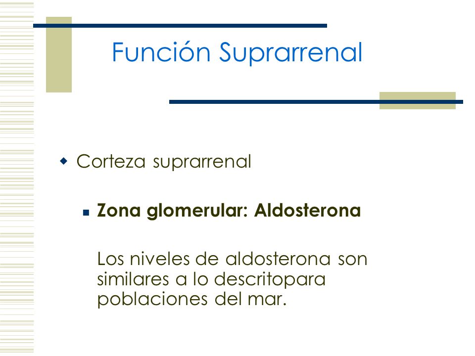 Función Suprarrenal Corteza suprarrenal Zona glomerular: Aldosterona