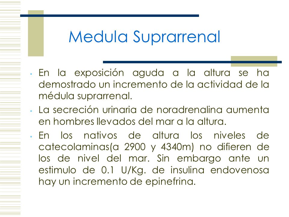 Medula Suprarrenal En la exposición aguda a la altura se ha demostrado un incremento de la actividad de la médula suprarrenal.