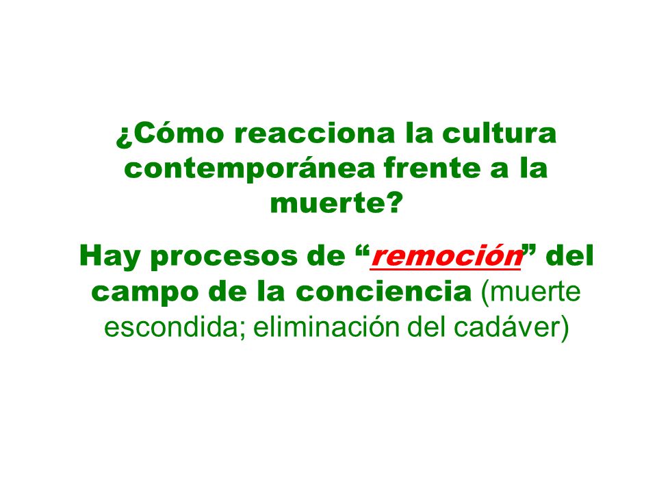 ¿Cómo reacciona la cultura contemporánea frente a la muerte