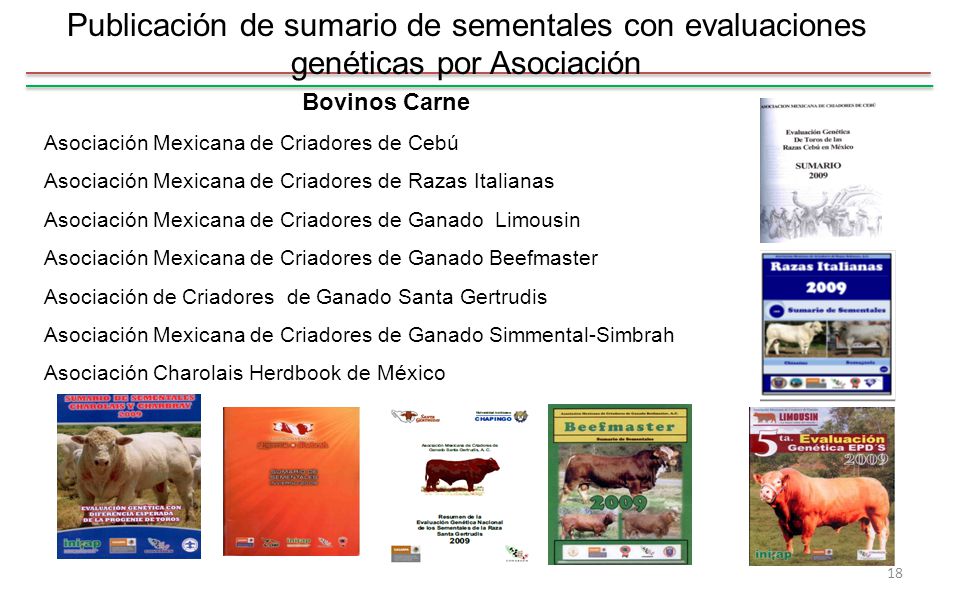 Publicación de sumario de sementales con evaluaciones genéticas por Asociación