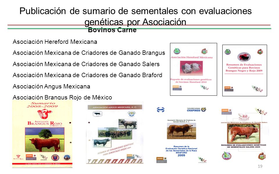 Publicación de sumario de sementales con evaluaciones genéticas por Asociación