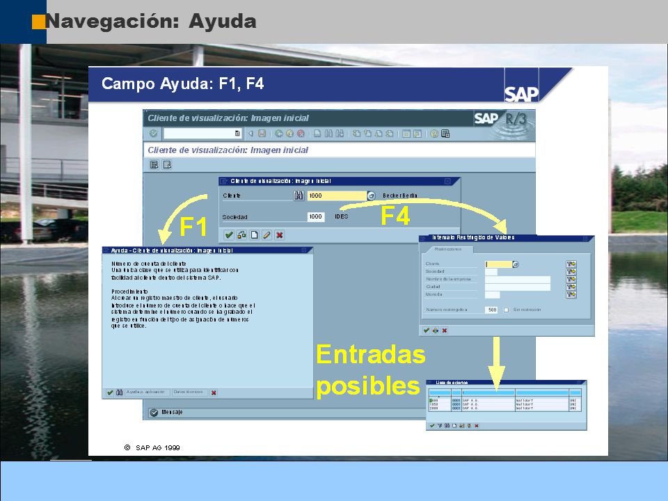 Navegación: Ayuda Utilice el comando de ayuda F1 sobre campos, menús, funciones y mensajes.