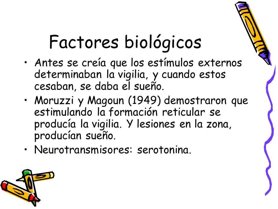 Factores biológicos Antes se creía que los estímulos externos determinaban la vigilia, y cuando estos cesaban, se daba el sueño.
