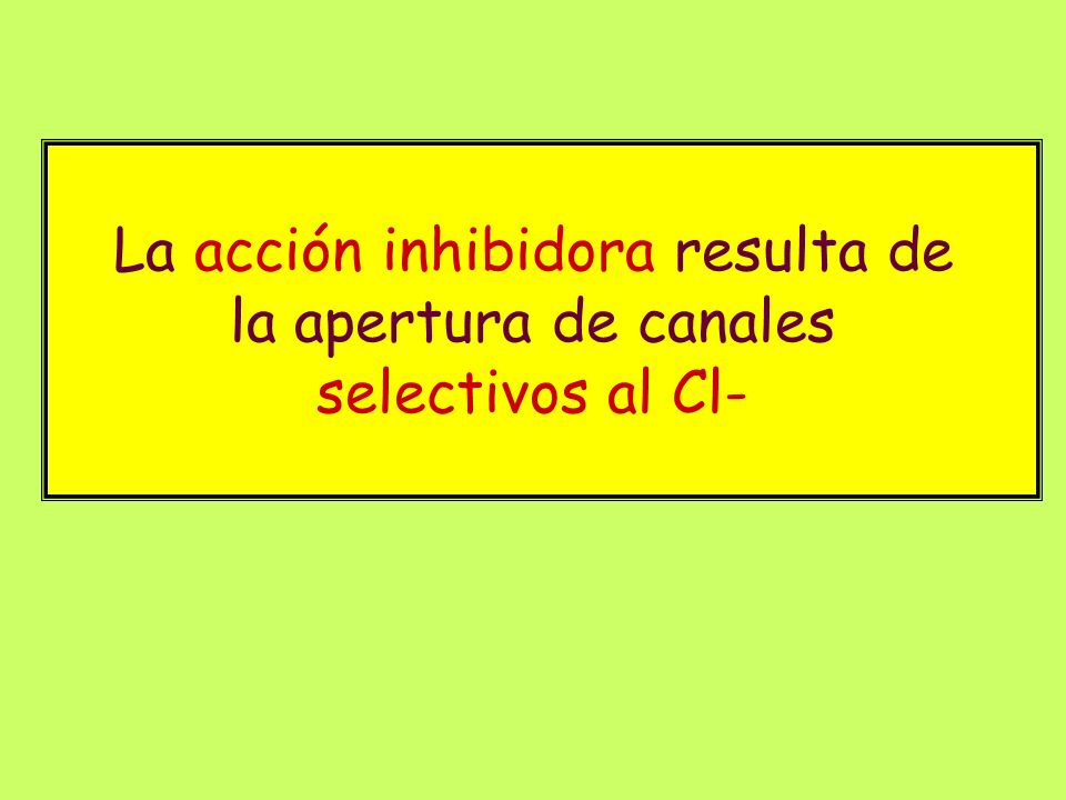 La acción inhibidora resulta de la apertura de canales selectivos al Cl-