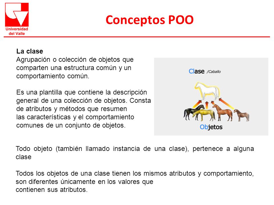 Conceptos POO La clase. Agrupación o colección de objetos que comparten una estructura común y un comportamiento común.
