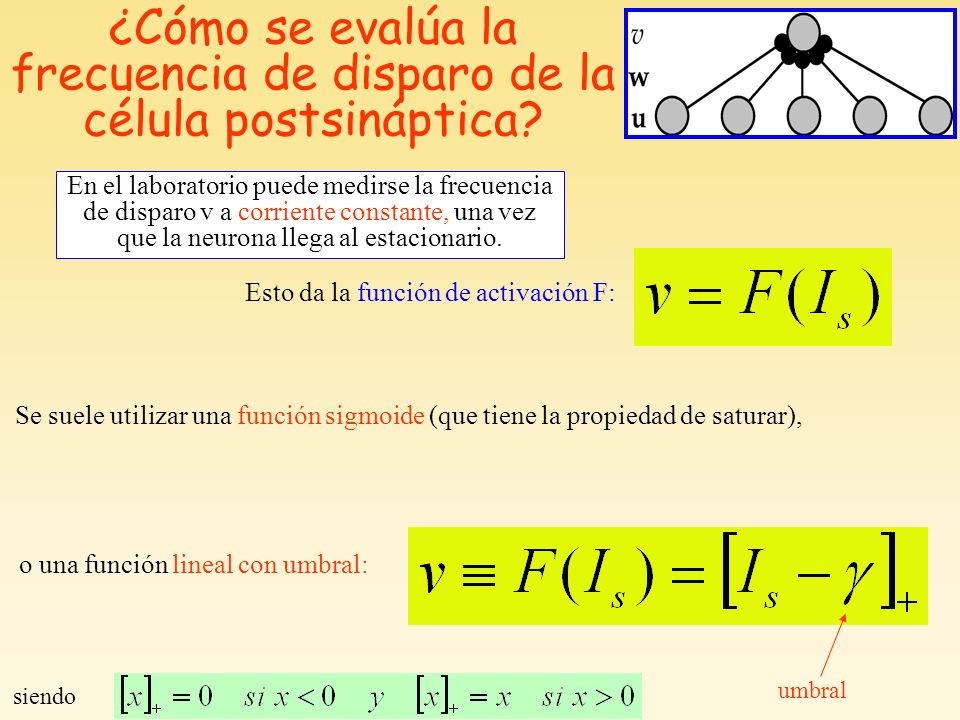 ¿Cómo se evalúa la frecuencia de disparo de la célula postsináptica
