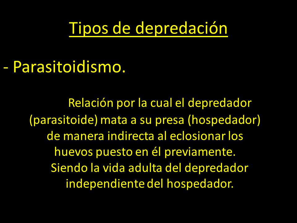 Siendo la vida adulta del depredador independiente del hospedador.