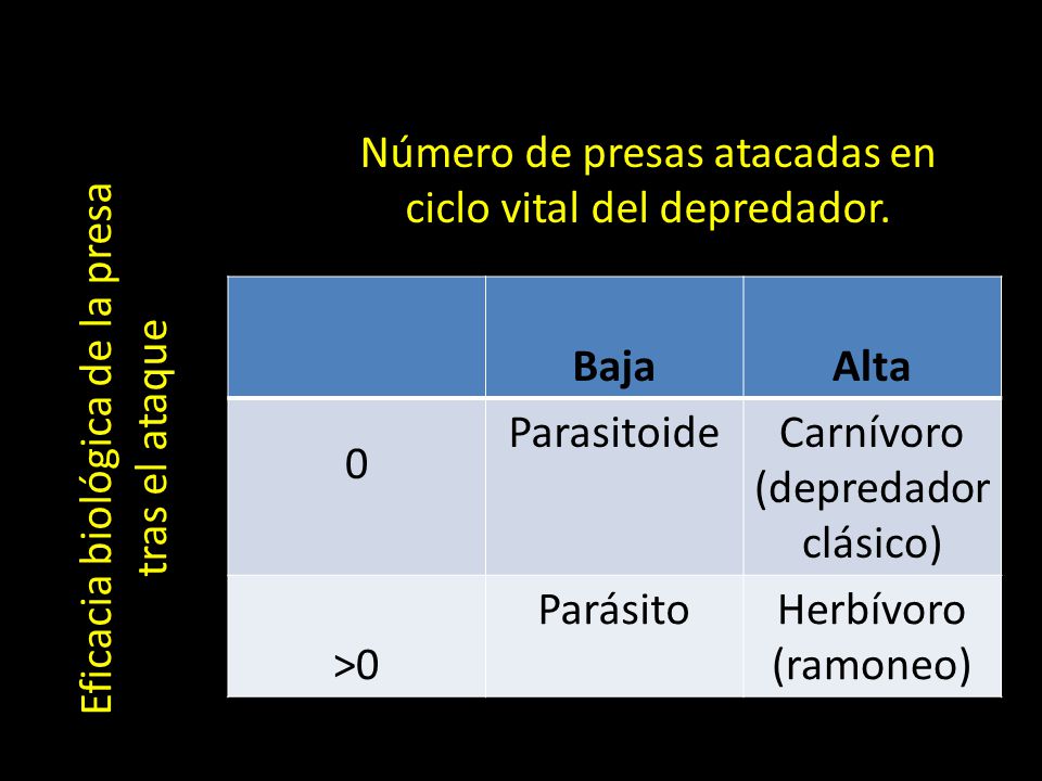 Número de presas atacadas en ciclo vital del depredador.