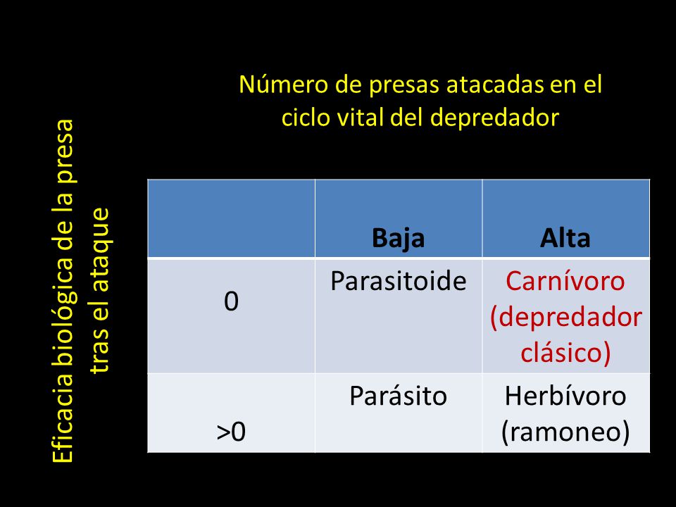 Número de presas atacadas en el ciclo vital del depredador