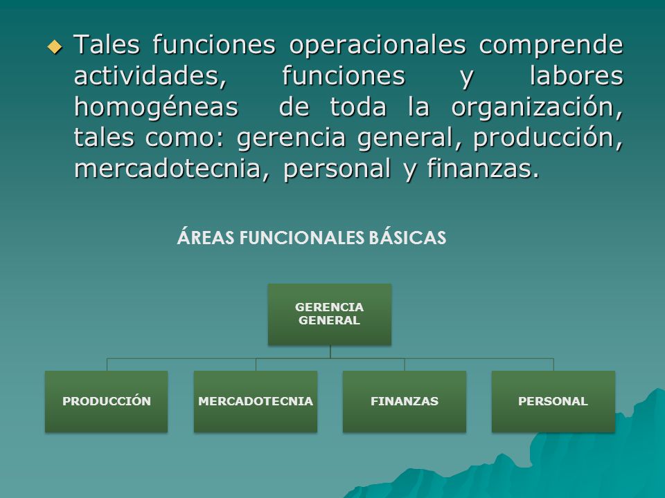Tales funciones operacionales comprende actividades, funciones y labores homogéneas de toda la organización, tales como: gerencia general, producción, mercadotecnia, personal y finanzas.