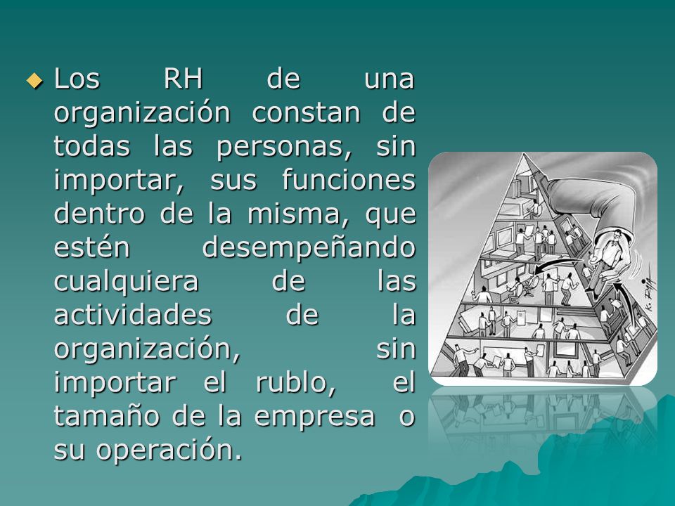 Los RH de una organización constan de todas las personas, sin importar, sus funciones dentro de la misma, que estén desempeñando cualquiera de las actividades de la organización, sin importar el rublo, el tamaño de la empresa o su operación.