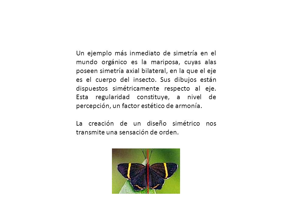 Un ejemplo más inmediato de simetría en el mundo orgánico es la mariposa, cuyas alas poseen simetría axial bilateral, en la que el eje es el cuerpo del insecto. Sus dibujos están dispuestos simétricamente respecto al eje. Esta regularidad constituye, a nivel de percepción, un factor estético de armonía.