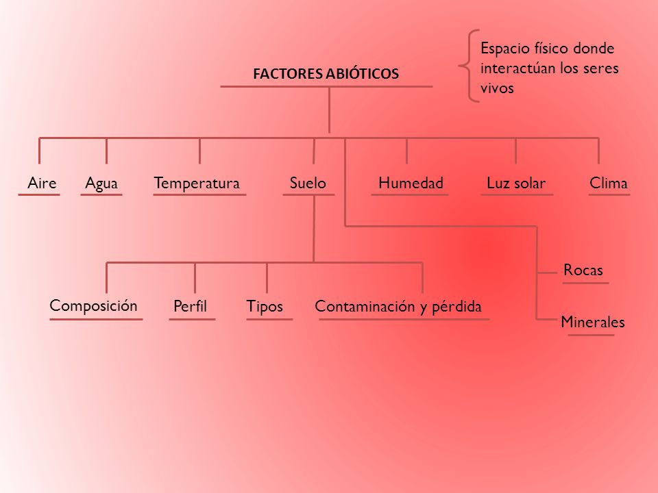 Espacio físico donde interactúan los seres. vivos. FACTORES ABIÓTICOS. Aire. Agua. Temperatura.