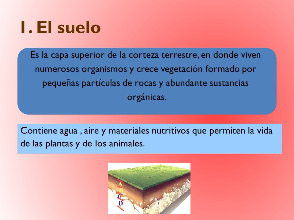 1. El suelo Es la capa superior de la corteza terrestre, en donde viven. numerosos organismos y crece vegetación formado por.