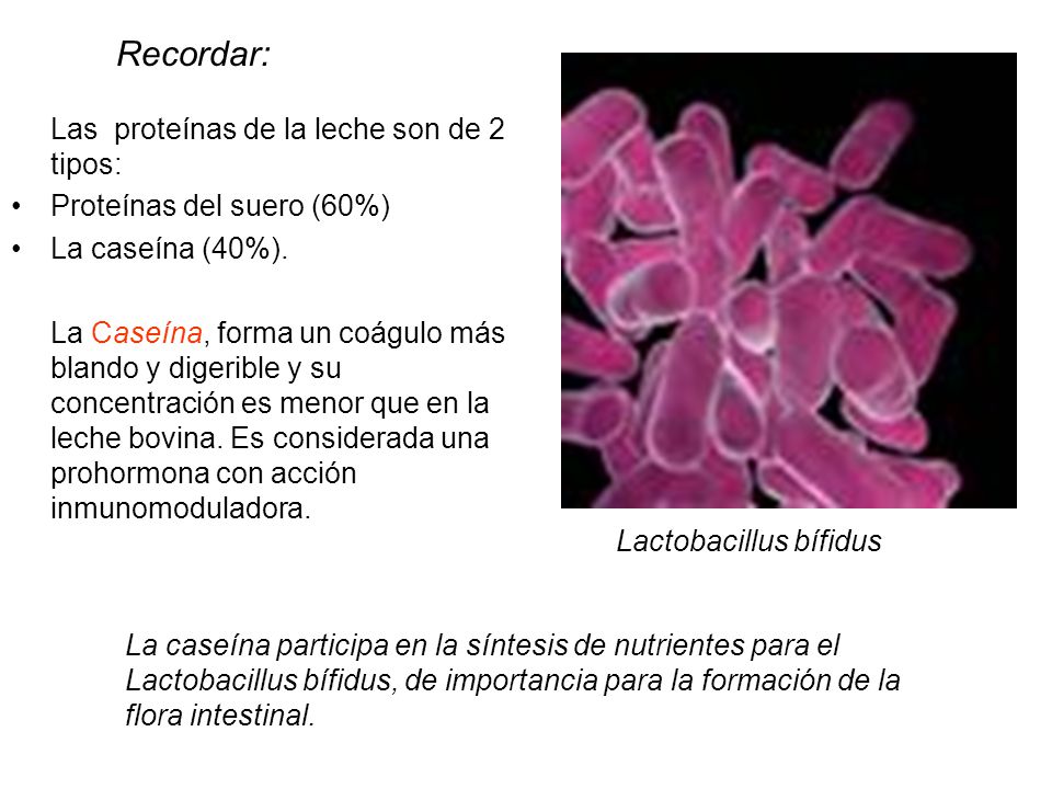Recordar: Las proteínas de la leche son de 2 tipos: