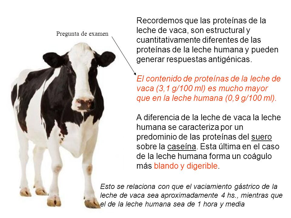 Recordemos que las proteínas de la leche de vaca, son estructural y cuantitativamente diferentes de las proteínas de la leche humana y pueden generar respuestas antigénicas.