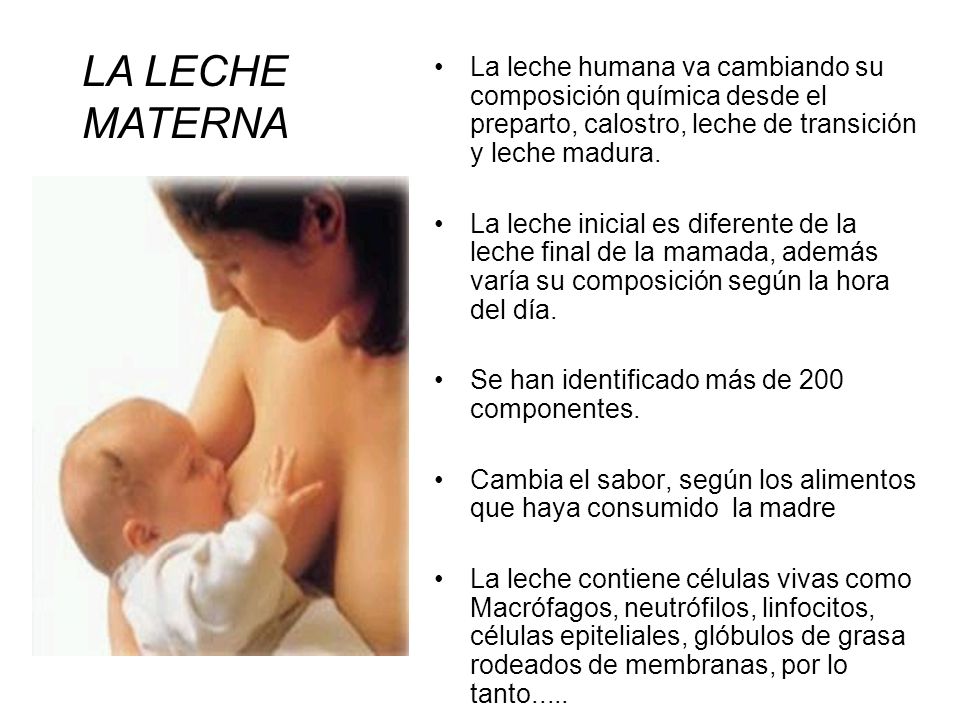 LA LECHE MATERNA La leche humana va cambiando su composición química desde el preparto, calostro, leche de transición y leche madura.