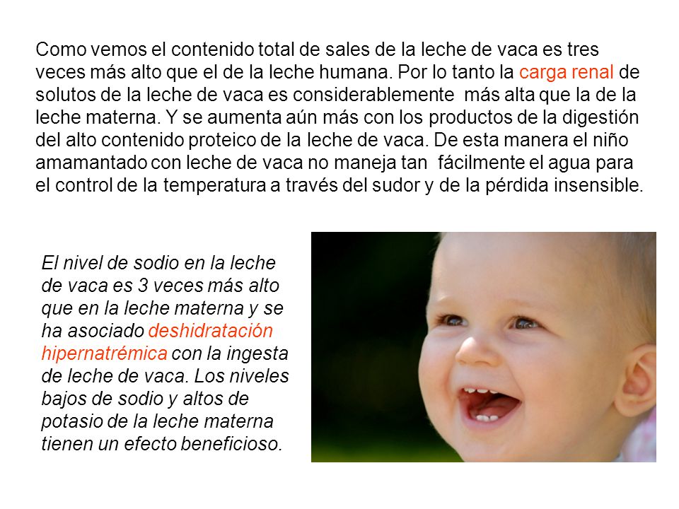 Como vemos el contenido total de sales de la leche de vaca es tres veces más alto que el de la leche humana. Por lo tanto la carga renal de solutos de la leche de vaca es considerablemente más alta que la de la leche materna. Y se aumenta aún más con los productos de la digestión del alto contenido proteico de la leche de vaca. De esta manera el niño amamantado con leche de vaca no maneja tan fácilmente el agua para el control de la temperatura a través del sudor y de la pérdida insensible.