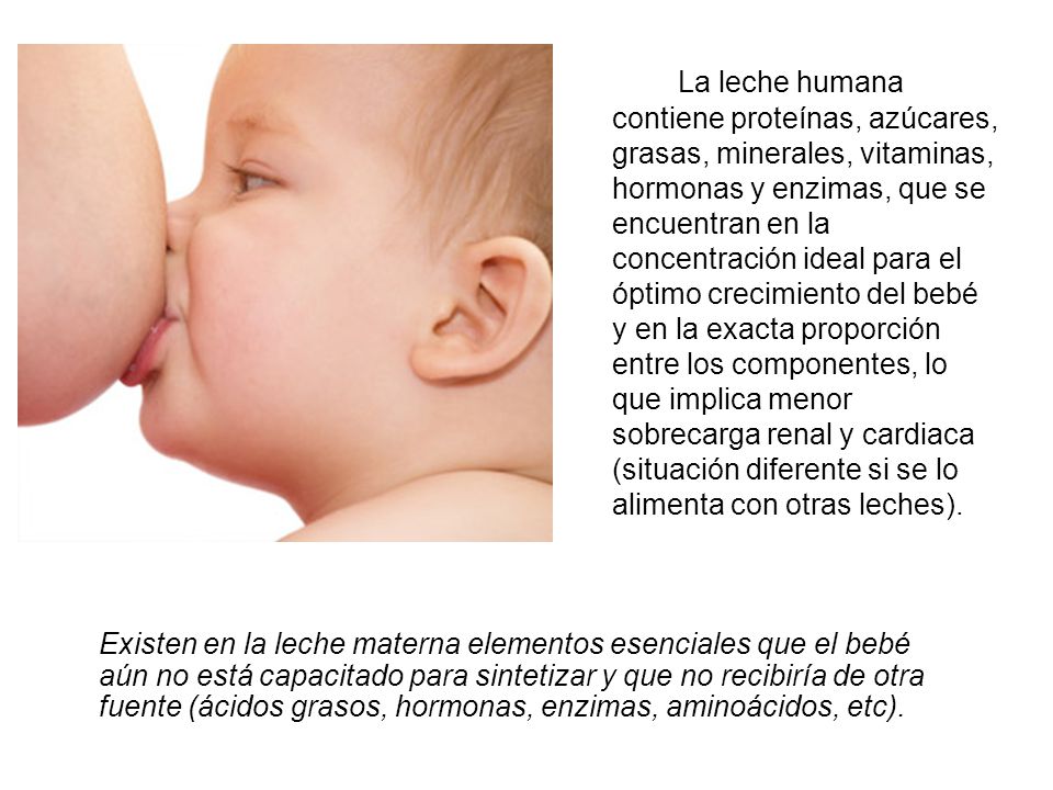 La leche humana contiene proteínas, azúcares, grasas, minerales, vitaminas, hormonas y enzimas, que se encuentran en la concentración ideal para el óptimo crecimiento del bebé y en la exacta proporción entre los componentes, lo que implica menor sobrecarga renal y cardiaca (situación diferente si se lo alimenta con otras leches).