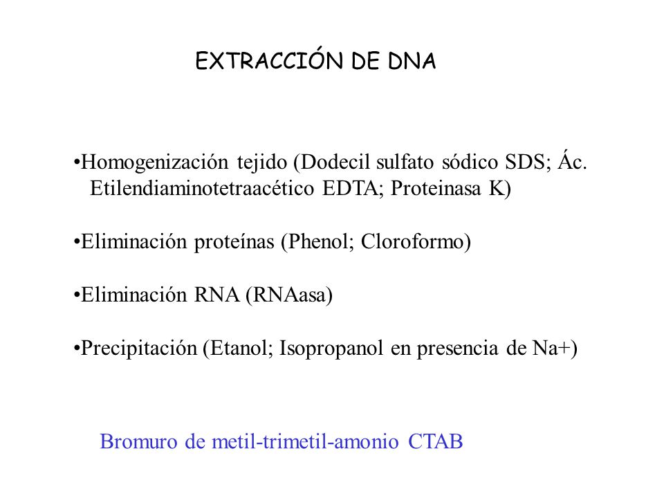 EXTRACCIÓN DE DNA Homogenización tejido (Dodecil sulfato sódico SDS; Ác. Etilendiaminotetraacético EDTA; Proteinasa K)